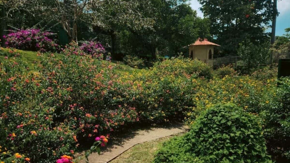 Top10 Best Parks in Barshi for Family & Couples 2026 Guide